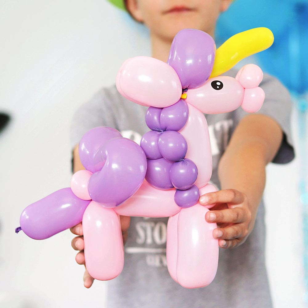 Balloon Twister Pukekohe, Franklin & South Auckland