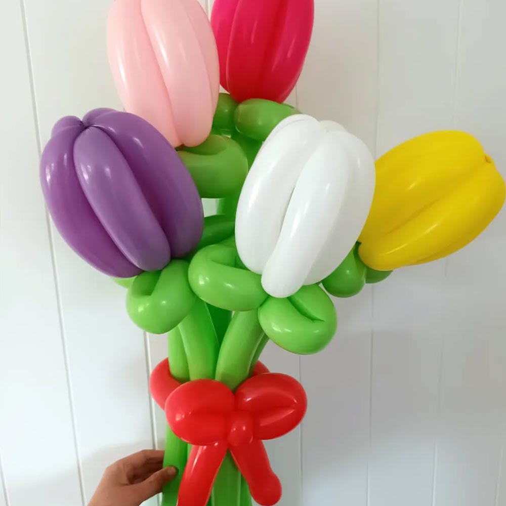 Balloon Twister Pukekohe, Franklin & South Auckland