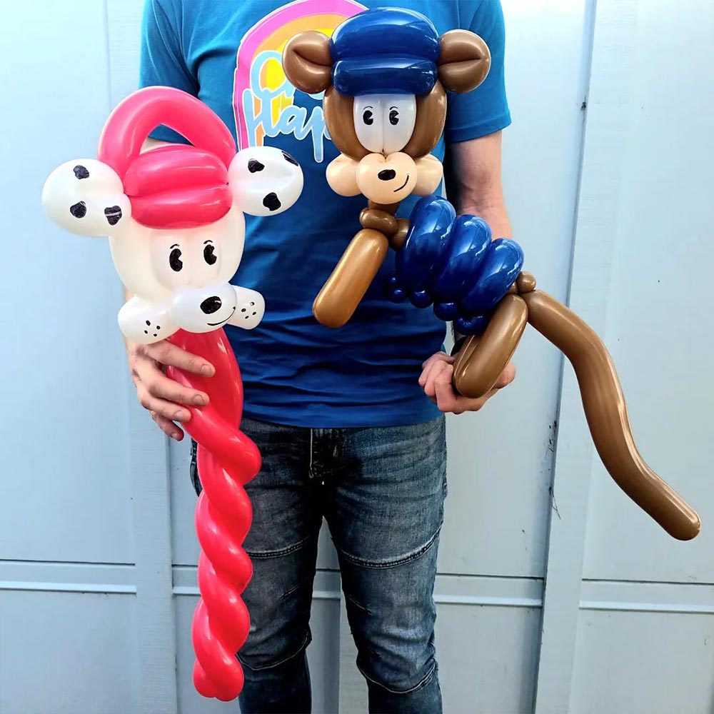 Balloon Twister Pukekohe, Franklin & South Auckland